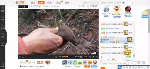 3月6日 一位网友直播上山“收夹”