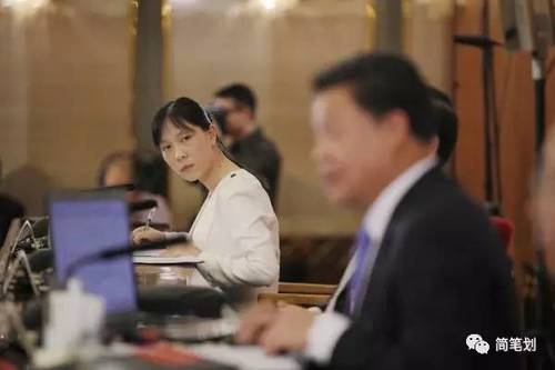 两会女神级翻译又出现! 盘点历届两会