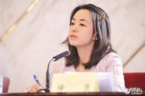 两会女神级翻译又出现! 盘点历届两会