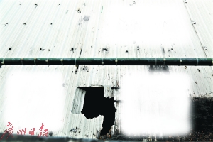 塑料棚坍塌，周明洪和阿想一同坠下。