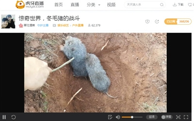 点击进入下一页