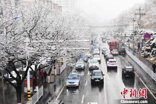 图为当日银装素裹的兰州城区?！⊙钛廾?摄