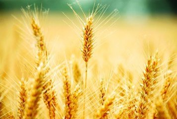 t0172c052aabe3ed0c1 t0172c052aabe3ed0c1