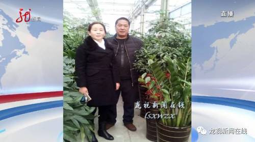 佟云龙吐了一宿，妻子一夜不归，这让他觉得很蹊跷。再仔细看看家里，居然还少了好几样东西。