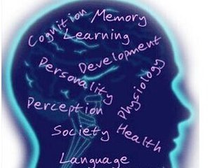 t0141451efd431bc89f t0141451efd431bc89f