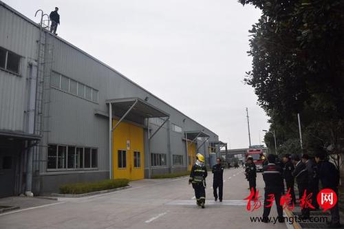 男子要跳楼 称劝领导“别插队”被开除