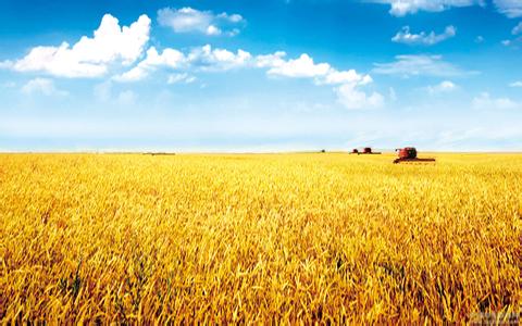 u=1016981679,4034865010&fm=23&gp=0 u=1016981679,4034865010&fm=23&gp=0