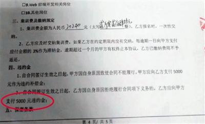 王小姐与卓新智趣签订的集训协议，中途退学违约金为5000元。
