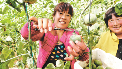 1120635455_14896199202051n 1120635455_14896199202051n