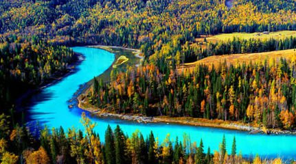 t0119f2d2b155b53d39 t0119f2d2b155b53d39