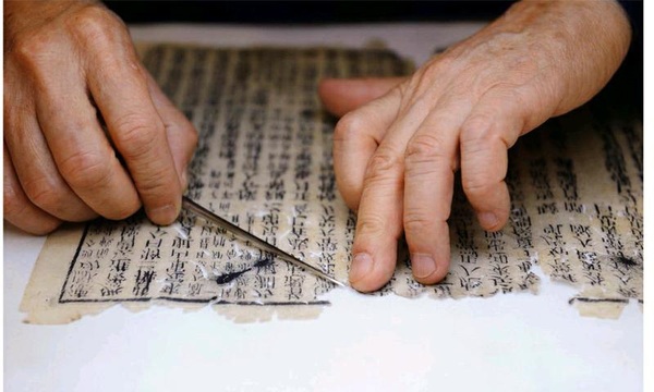 C20170320001-zx9 C20170320001-zx9