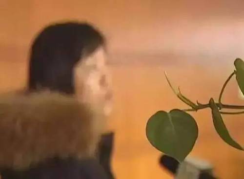 无奈之下文女士将情况反映到建邺区市场监督管理局，一线队员当天下午便来这家名世造型美容店进行检查并了解情况。