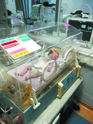 17242565934730540094 17242565934730540094