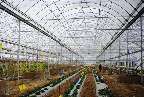 QQ截图20170320145100 QQ截图20170320145100