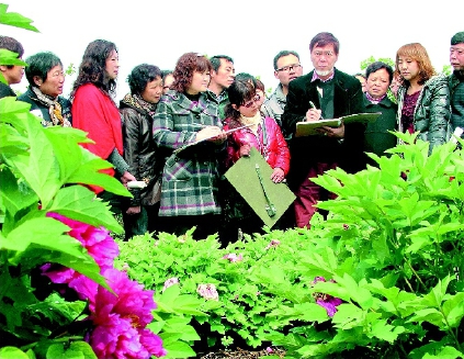 ¥??C2017-03-21zx801_P_1_1265_2367_1926_2879 ¥??C2017-03-21zx801_P_1_1265_2367_1926_2879