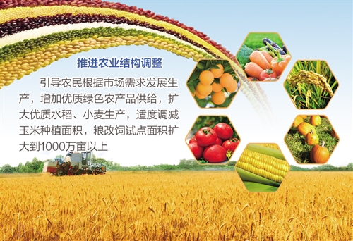 W020170314233883375169 W020170314233883375169