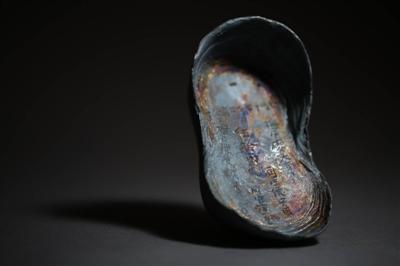 六问江口沉银遗址考古:确认战场遗址不是主动沉银