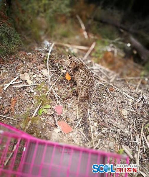 点击进入下一页