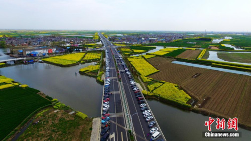 4月4日清明节，也是清明小长假的最后一天，江苏兴化千垛菜花风景区内的油菜花进入盛花期。当日千垛菜花风景区游人如织，由于前来景区游玩的游客太多，景区停车场车位紧张，众多的车辆在景区周边的公路上在排起了长龙，绵延数公里宛如一条汽车“钢铁巨龙”场面十分壮观，公路变也成了一个“超级停车场”。孟德龙 摄
