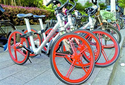 gPK1-fxuxnak0156448 gPK1-fxuxnak0156448