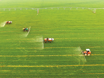 1490554370280_1 1490554370280_1