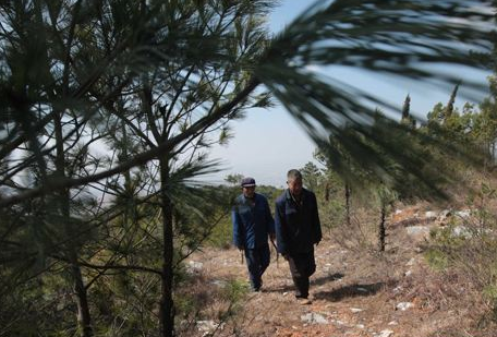 QQ截图20170327141824 QQ截图20170327141824