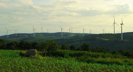 t018054c2d10e729a30 t018054c2d10e729a30