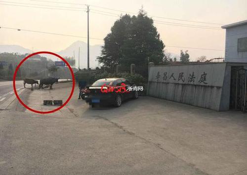 1490681188165 1490681188165