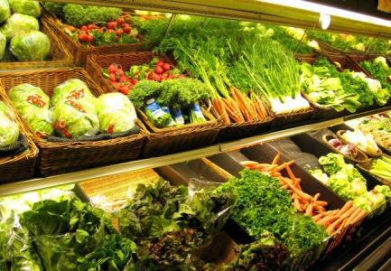 u=3713474411,766960481&fm=23&gp=0 u=3713474411,766960481&fm=23&gp=0