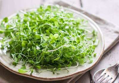 1120713503_1490745662882_title0h 1120713503_1490745662882_title0h