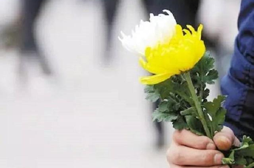 QQ截图20170329143222 QQ截图20170329143222