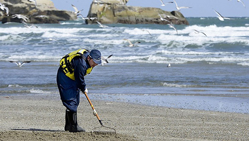 u=2951790439,2183115679&fm=11&gp=0 u=2951790439,2183115679&fm=11&gp=0