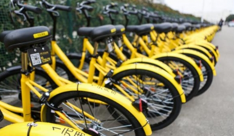 u=2529003183,253881923&fm=11&gp=0 u=2529003183,253881923&fm=11&gp=0