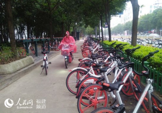农大东门停放数百辆共享单车。  张霜霜 摄