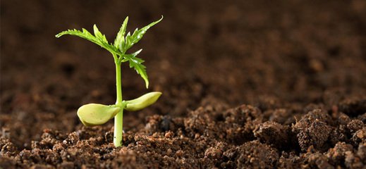 t01be53cba5392877fc t01be53cba5392877fc