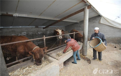 老汉娶小22岁乞讨女