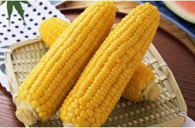 QQ截图20170331120752