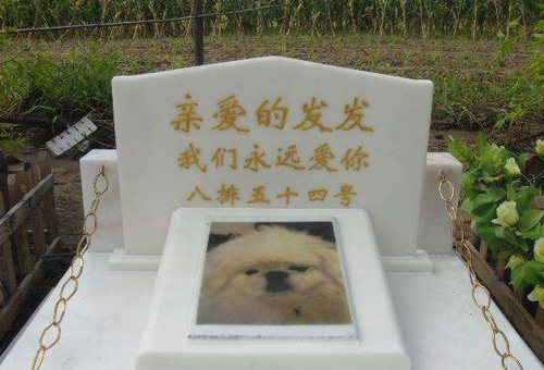 QQ截图20170331164835 QQ截图20170331164835