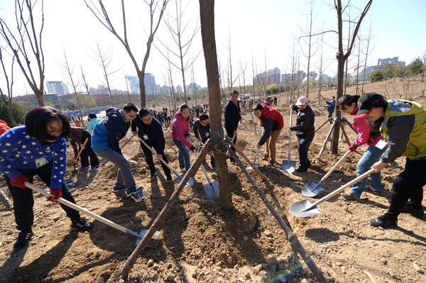 C20170401001-zx1 C20170401001-zx1