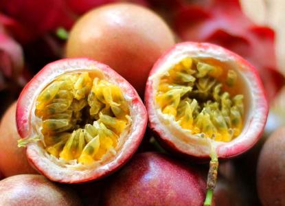 u=1564164696,3191388251&fm=23&gp=0 u=1564164696,3191388251&fm=23&gp=0