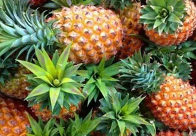 肠胃不好如何调理？多吃7种养胃食物