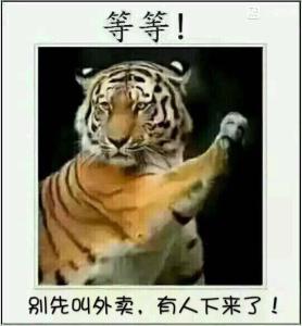 u=3747950357,3896656684&fm=23&gp=0 u=3747950357,3896656684&fm=23&gp=0