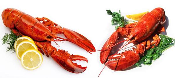 u=27383082,3483114629&fm=23&gp=0 u=27383082,3483114629&fm=23&gp=0