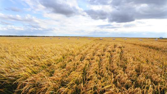 u=2461670650,580523917&fm=23&gp=0 u=2461670650,580523917&fm=23&gp=0