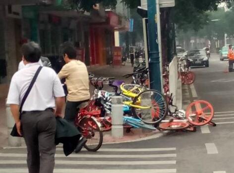 W020170217496038988923 W020170217496038988923