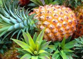 牙齿发黄怎么办? 多吃7种食物可美白