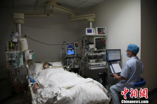 资料图 谢高攀 摄 点击进入下一页