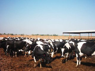 t019f1b70182f894e9b t019f1b70182f894e9b