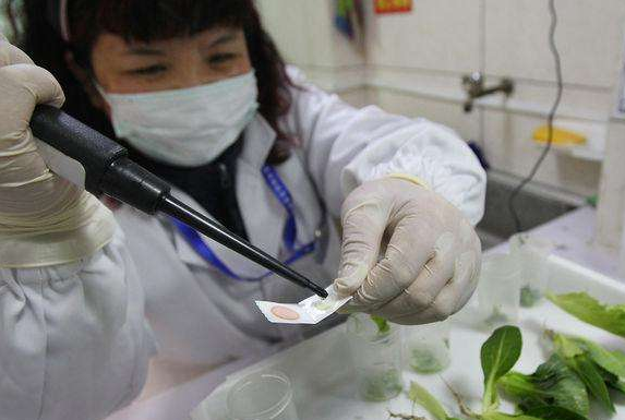 QQ截图20170410094005 QQ截图20170410094005