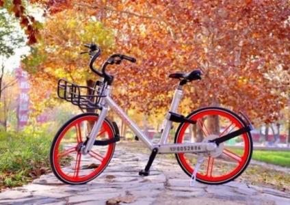 u=1343800600,1544084144&fm=23&gp=0 u=1343800600,1544084144&fm=23&gp=0